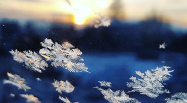 Vinterlovsspecial - Family First 2 dagars-paket